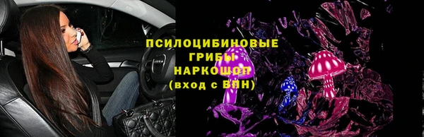 спайс Алзамай