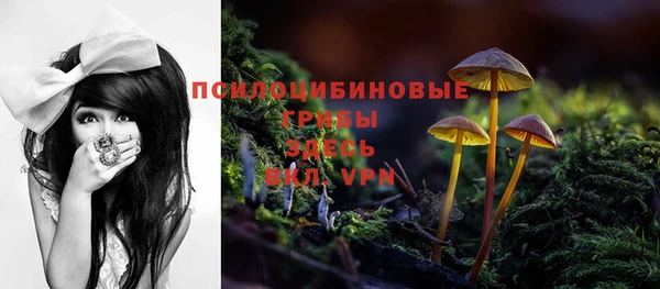хмурый Алексеевка