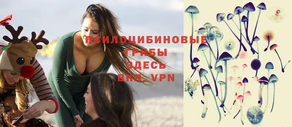 спайс Алзамай